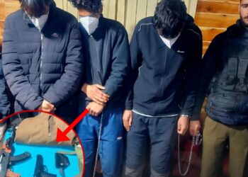 3 Persons Arrested Along With Fake Weapons In Kokernag Anantnag: Police