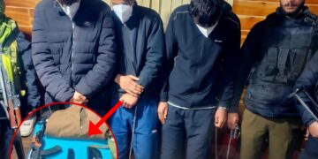 3 Persons Arrested Along With Fake Weapons In Kokernag Anantnag: Police