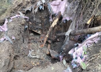 Old Hideout Found During CASO in South Kashmir Forests