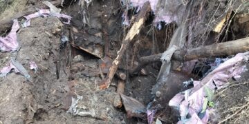 Old Hideout Found During CASO in South Kashmir Forests