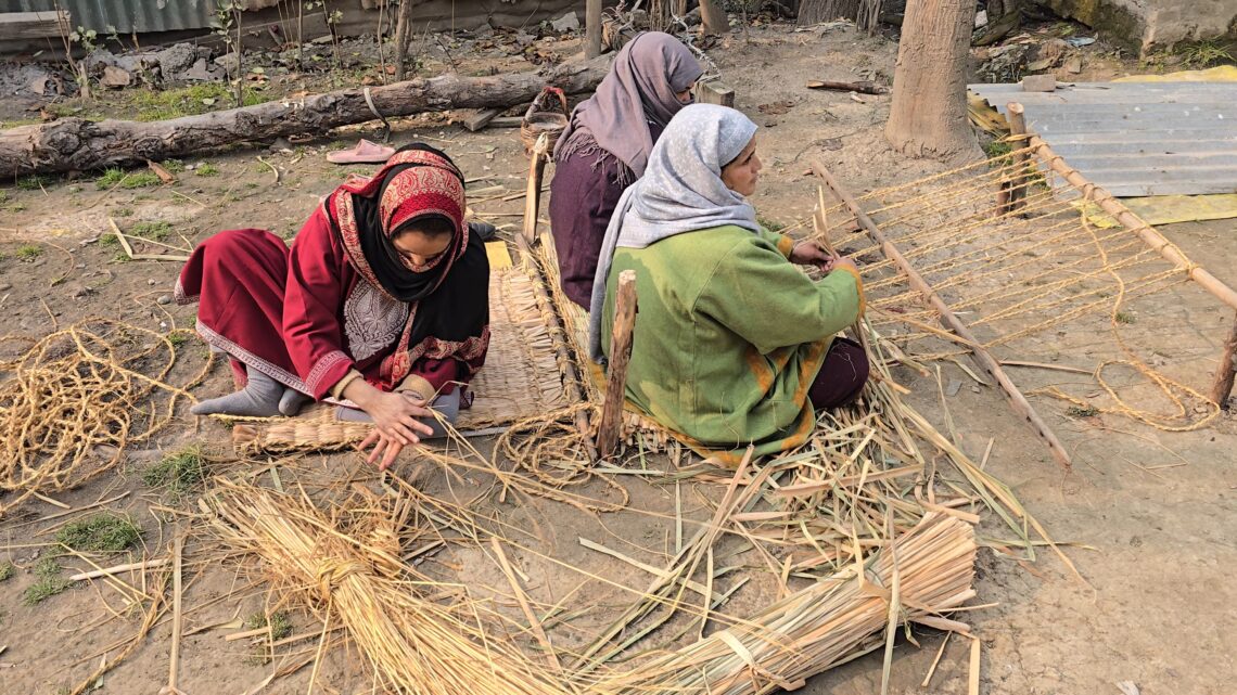 Woven Back to Life: The Return of Kashmir’s Forgotten Grass Carpet