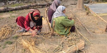 Woven Back to Life: The Return of Kashmir’s Forgotten Grass Carpet