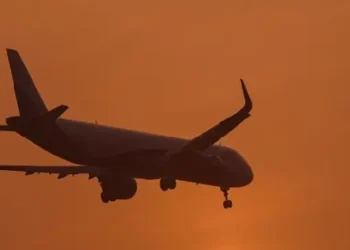 Dense Fog Grounds 110 Flights at Delhi Airport.
