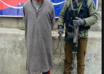 Habitual Offender Detained Under PSA in Kulgam