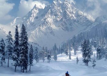 Avalanche Warning Issued for Five Districts of Jammu and KashmirSrinagar