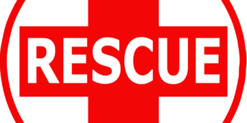 Two Army porters fall into nallah near Upper Gulmarg, rescue underway