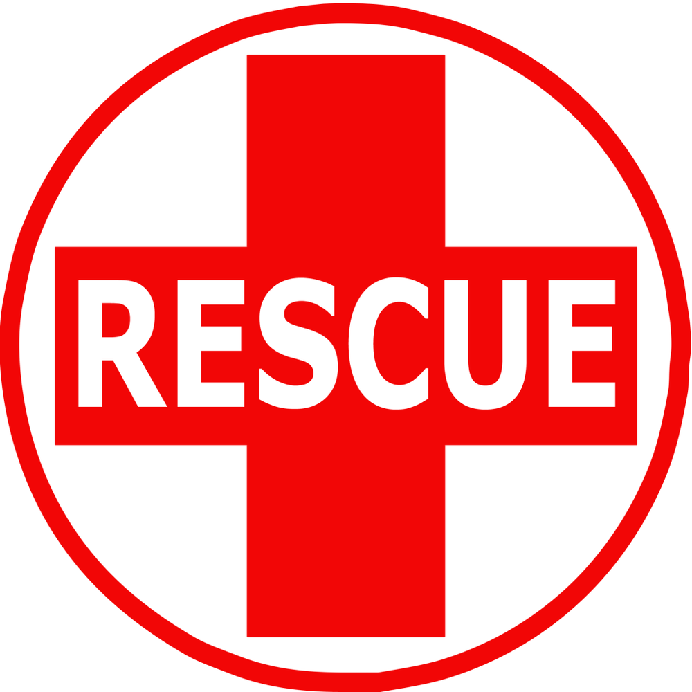 Two Army porters fall into nallah near Upper Gulmarg, rescue underway