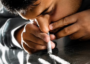 Massive Blow to Narco-Terror: 1,018 Drug Peddlers Arrested, 341 Kg Narcotics Seized in 50-Day J&K Crackdown.
