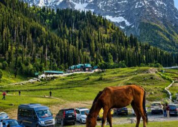 STUDY REVEALS 95% LOSS OF THAJIWAS GLACIER, HIGHLIGHTING GROWING IMPACT OF CLIMATE CHANGE IN KASHMIR..
