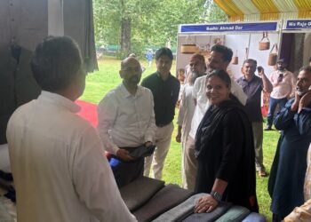 Kashmir Handloom Products Get Push for GI Labelling, Aesthetic Packaging